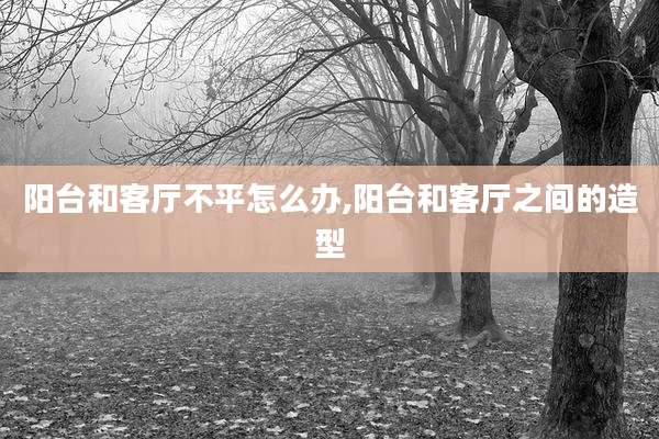 阳台和客厅不平怎么办,阳台和客厅之间的造型