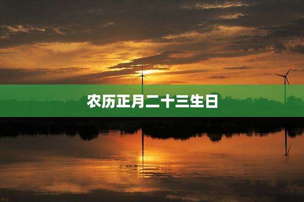 农历正月二十三生日