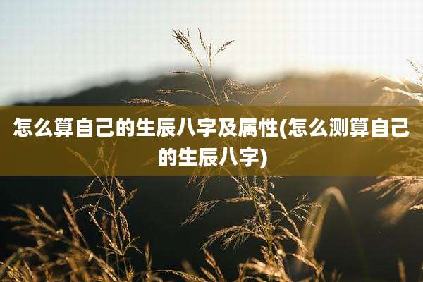 怎么算自己的生辰八字及属性(怎么测算自己的生辰八字)