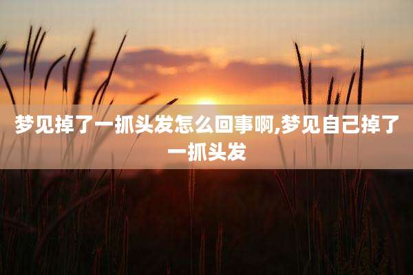 梦见掉了一抓头发怎么回事啊,梦见自己掉了一抓头发