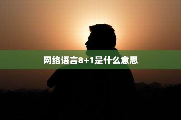 网络语言8+1是什么意思