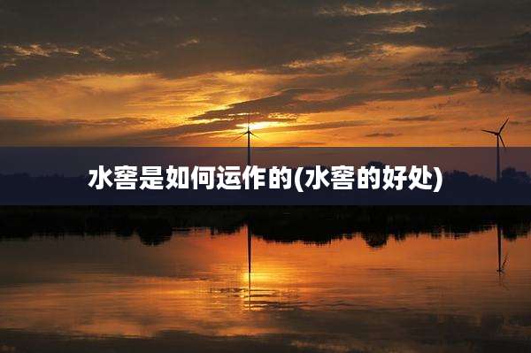 水窖是如何运作的(水窖的好处)