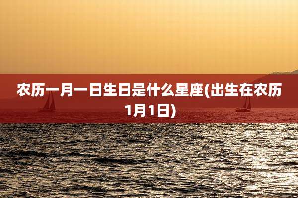农历一月一日生日是什么星座(出生在农历1月1日)