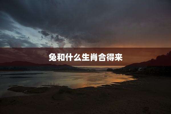 兔和什么生肖合得来