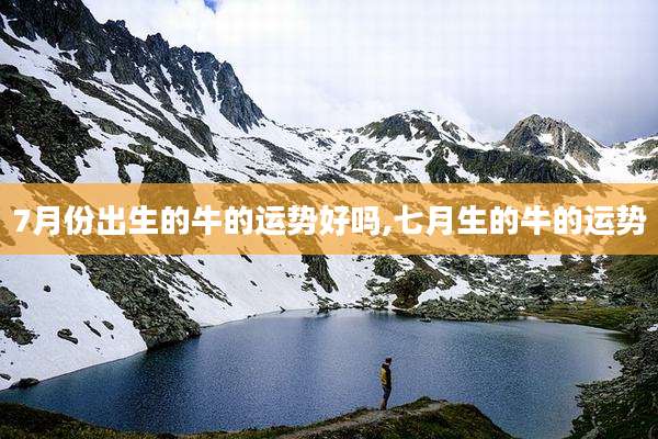 7月份出生的牛的运势好吗,七月生的牛的运势