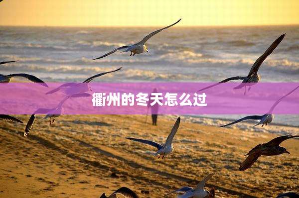 衢州的冬天怎么过