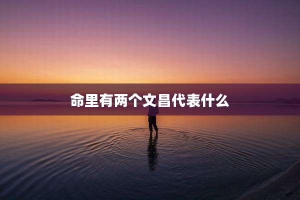 命里有两个文昌代表什么