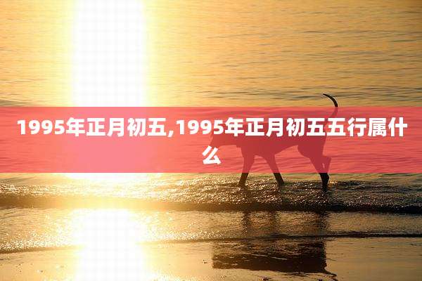 1995年正月初五,1995年正月初五五行属什么