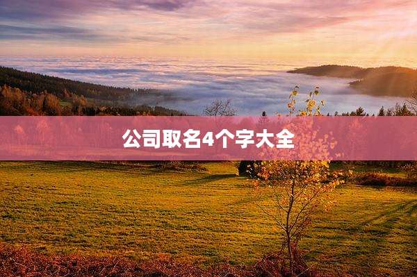 公司取名4个字大全