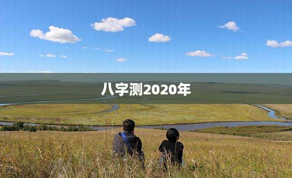 八字测2020年