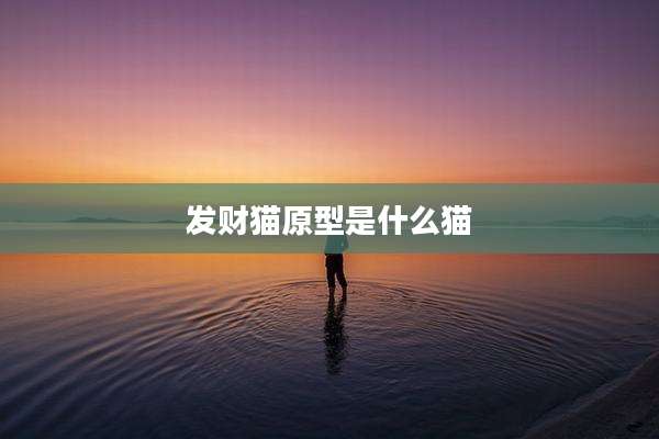 发财猫原型是什么猫