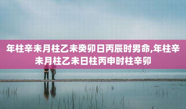 年柱辛未月柱乙未癸卯日丙辰时男命,年柱辛未月柱乙未日柱丙申时柱辛卯