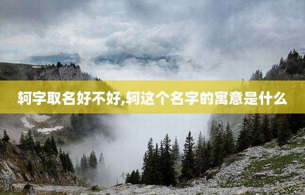 轲字取名好不好,轲这个名字的寓意是什么