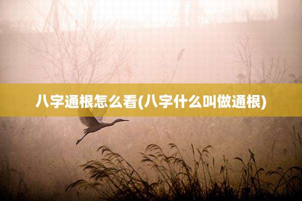 八字通根怎么看(八字什么叫做通根)