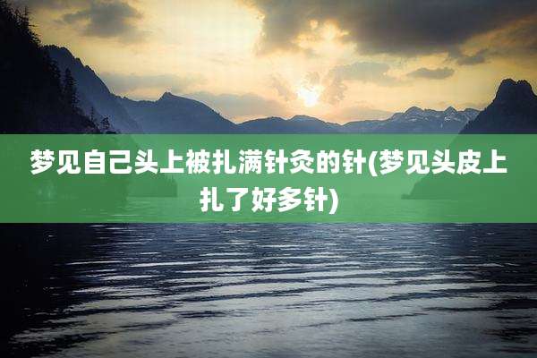 梦见自己头上被扎满针灸的针(梦见头皮上扎了好多针)