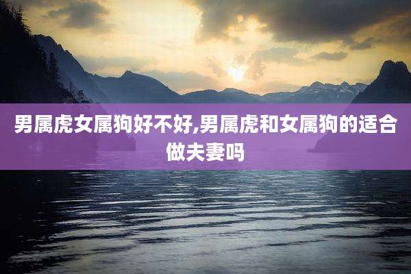 男属虎女属狗好不好,男属虎和女属狗的适合做夫妻吗