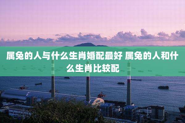 属兔的人与什么生肖婚配最好 属兔的人和什么生肖比较配