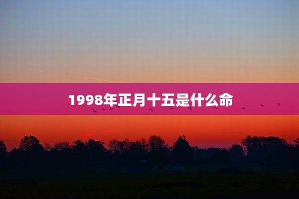 1998年正月十五是什么命