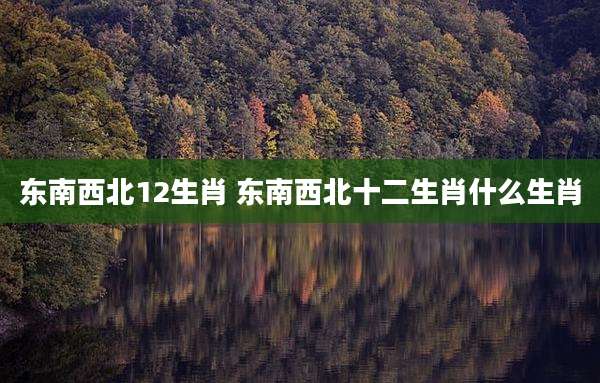 东南西北12生肖 东南西北十二生肖什么生肖
