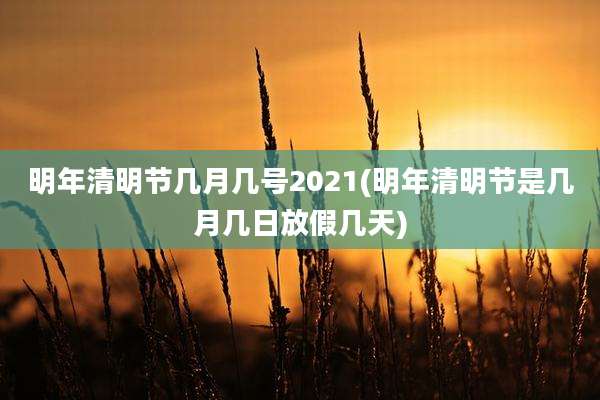 明年清明节几月几号2021(明年清明节是几月几日放假几天)