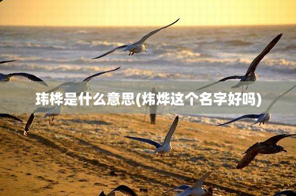 玮桦是什么意思(炜烨这个名字好吗)