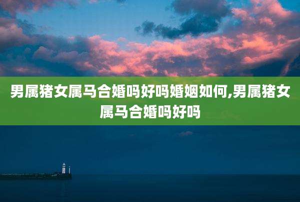男属猪女属马合婚吗好吗婚姻如何,男属猪女属马合婚吗好吗
