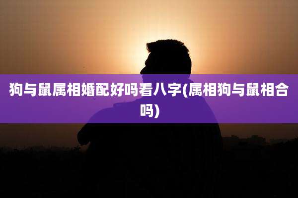 狗与鼠属相婚配好吗看八字(属相狗与鼠相合吗)