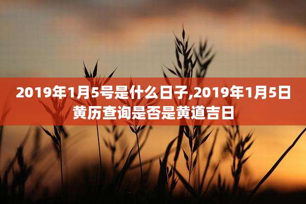 2019年1月5号是什么日子,2019年1月5日黄历查询是否是黄道吉日