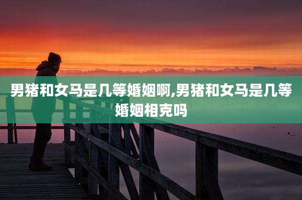 男猪和女马是几等婚姻啊,男猪和女马是几等婚姻相克吗