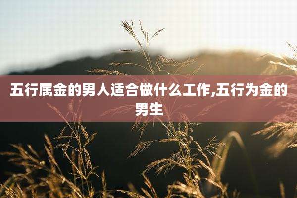 五行属金的男人适合做什么工作,五行为金的男生
