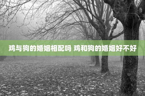 鸡与狗的婚姻相配吗 鸡和狗的婚姻好不好
