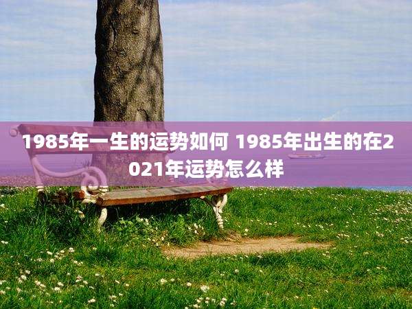 1985年一生的运势如何 1985年出生的在2021年运势怎么样