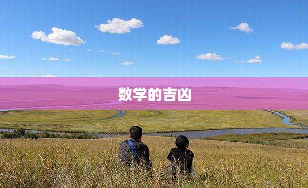 数学的吉凶