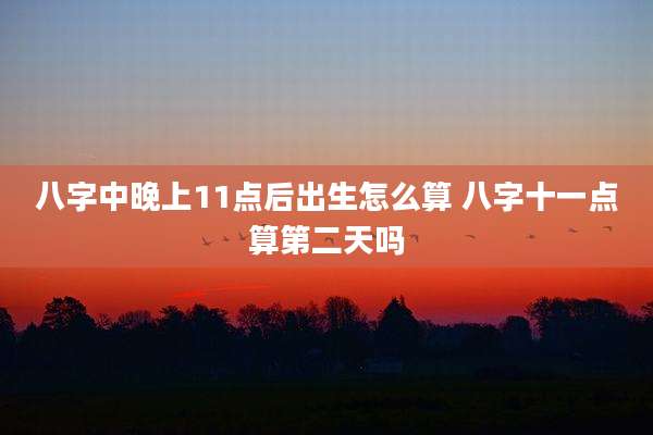 八字中晚上11点后出生怎么算 八字十一点算第二天吗