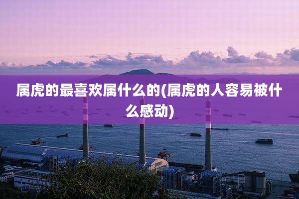 属虎的最喜欢属什么的(属虎的人容易被什么感动)