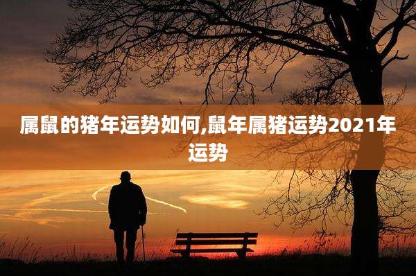 属鼠的猪年运势如何,鼠年属猪运势2021年运势