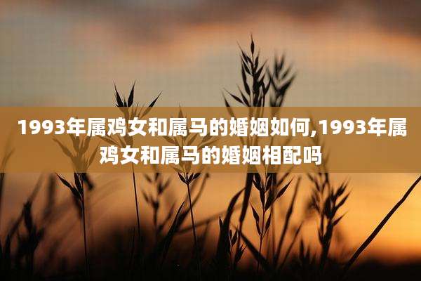 1993年属鸡女和属马的婚姻如何,1993年属鸡女和属马的婚姻相配吗