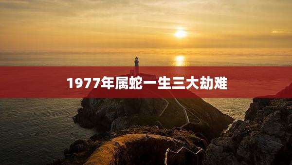 1977年属蛇一生三大劫难