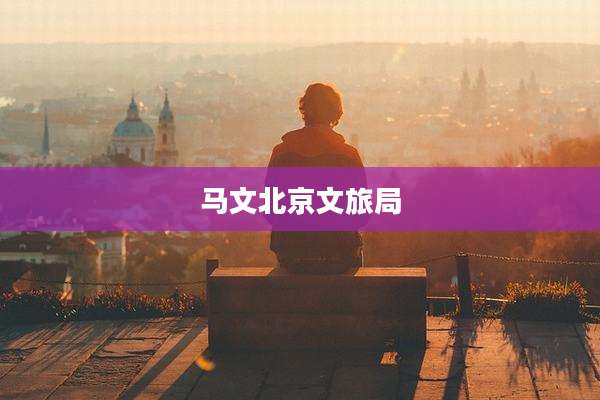 马文北京文旅局