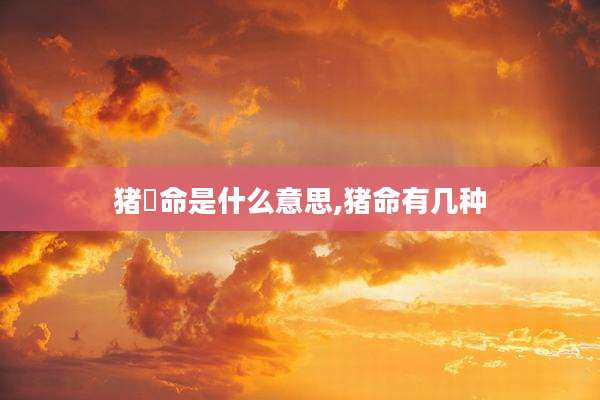 猪乸命是什么意思,猪命有几种