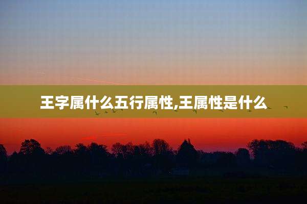 王字属什么五行属性,王属性是什么