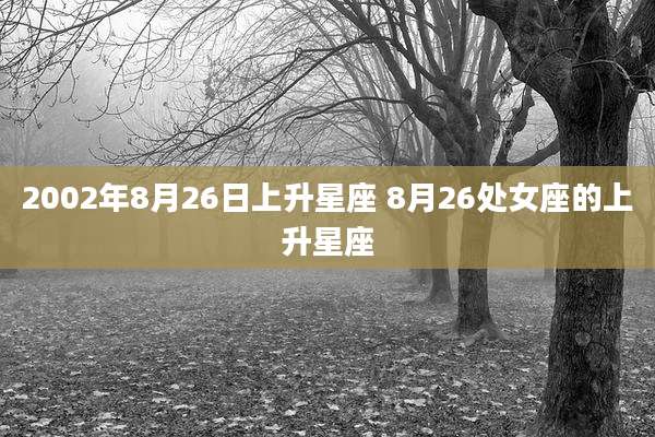 2002年8月26日上升星座 8月26处女座的上升星座
