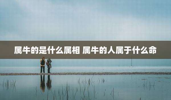 属牛的是什么属相 属牛的人属于什么命