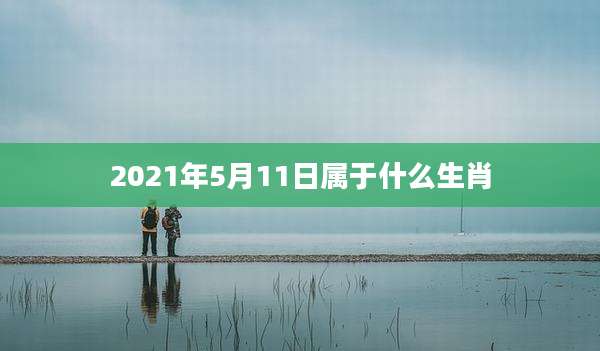 2021年5月11日属于什么生肖