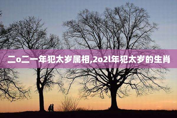 二o二一年犯太岁属相,2o2l年犯太岁的生肖