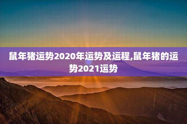 鼠年猪运势2020年运势及运程,鼠年猪的运势2021运势