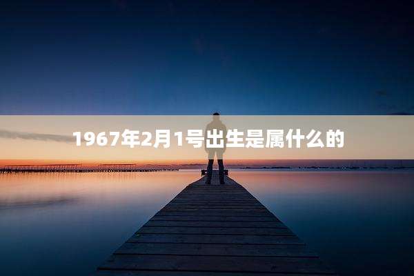 1967年2月1号出生是属什么的