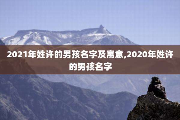 2021年姓许的男孩名字及寓意,2020年姓许的男孩名字