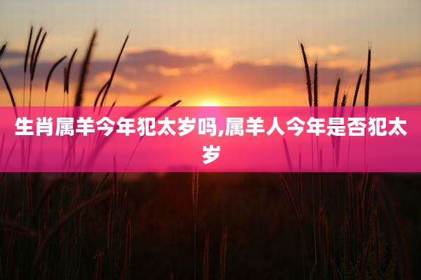 生肖属羊今年犯太岁吗,属羊人今年是否犯太岁
