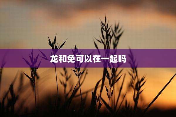 龙和免可以在一起吗